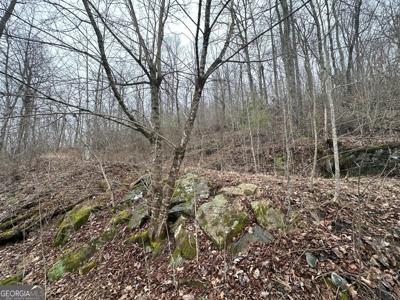 10A 10A Mossy Oak Lane