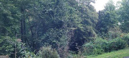 65 Chatuge Village Drive, Hayesville NC 28904