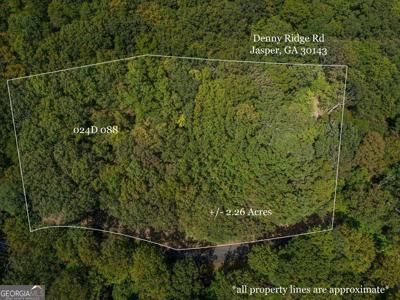 Lot 4488 Denny Ridge Road, Jasper GA 30143