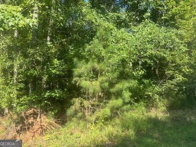 Lot 123 Twin Bridges Road, Eatonton GA 31024