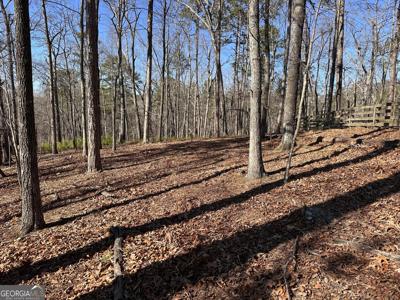 Lot 13 SWALLOW Drive, White GA 30184