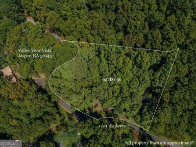 Lot 550 Valley View Vista, Jasper GA 30143