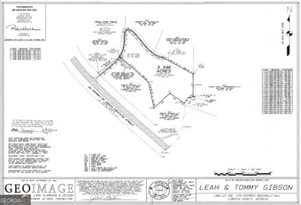 TRACT 2 South Chestatee Street