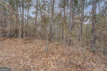 Lot 90 GOLDENEYE Court, Monticello GA 31064