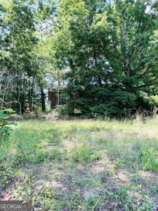377 Hummingbird Road