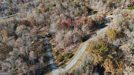 Lot 196 Springwinds Drive, Cleveland GA 30528