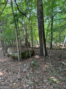 Crooked Creek Bay Road, Eatonton GA 31024