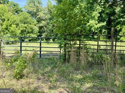 1040 White Oak Lane, Greensboro GA 30642