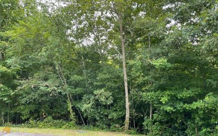 Lot 23 Dan Knob, Hayesville NC 28904