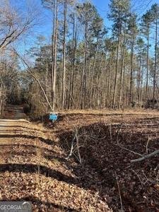 139 Fairlane, Martin GA 30557