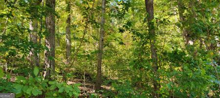 1469 Lakeside Trail