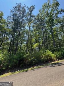 Carters View, Ellijay GA 30540