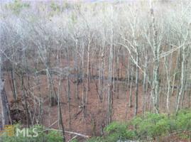 3565 Crooked Creek