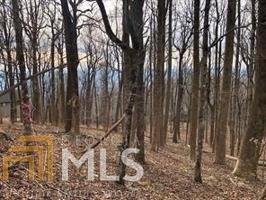 Lot 1908 Big Stump Mountain Trl