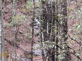 Lot 1145 Oglethorpe Mtn Rd