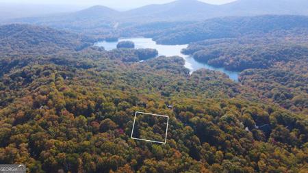 68 Wood Fern Knoll