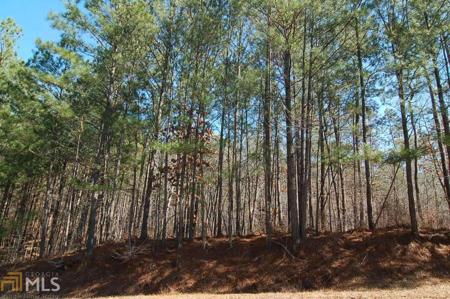 1480 Pullman Lane, Greensboro GA 30642