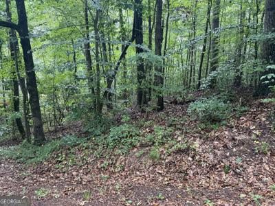 Lot 260 Arrow Lane # 260, Lavonia GA 30553