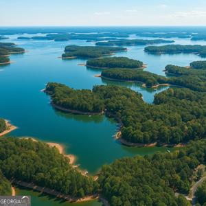 Hillshore Road, Lavonia GA 30553