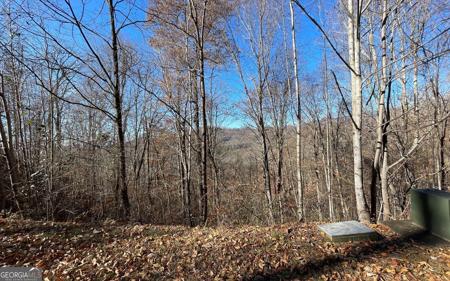 Lot 36M Mountain Harbour, Hayesville NC 28904