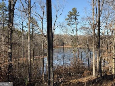 Lot 33 View Point Place, Lavonia GA 30553
