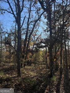 Lot 216 Anthemis Road, Sparta GA 31087