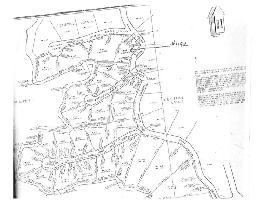1192 1192 Mallard Cove Cir