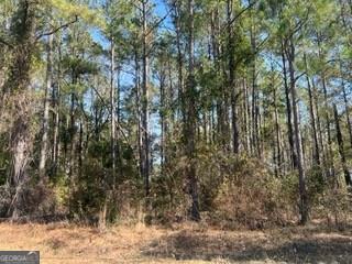 Lot 4, Cordele GA 31015 241 Valhalla Road