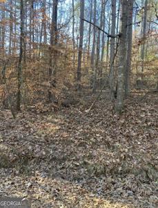 Lot 227-2 Butterfly South Court, Lavonia GA 30553