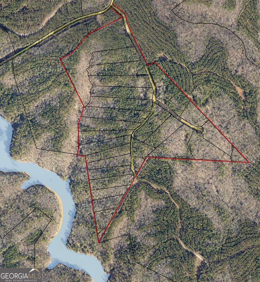 Image 2: Aerial