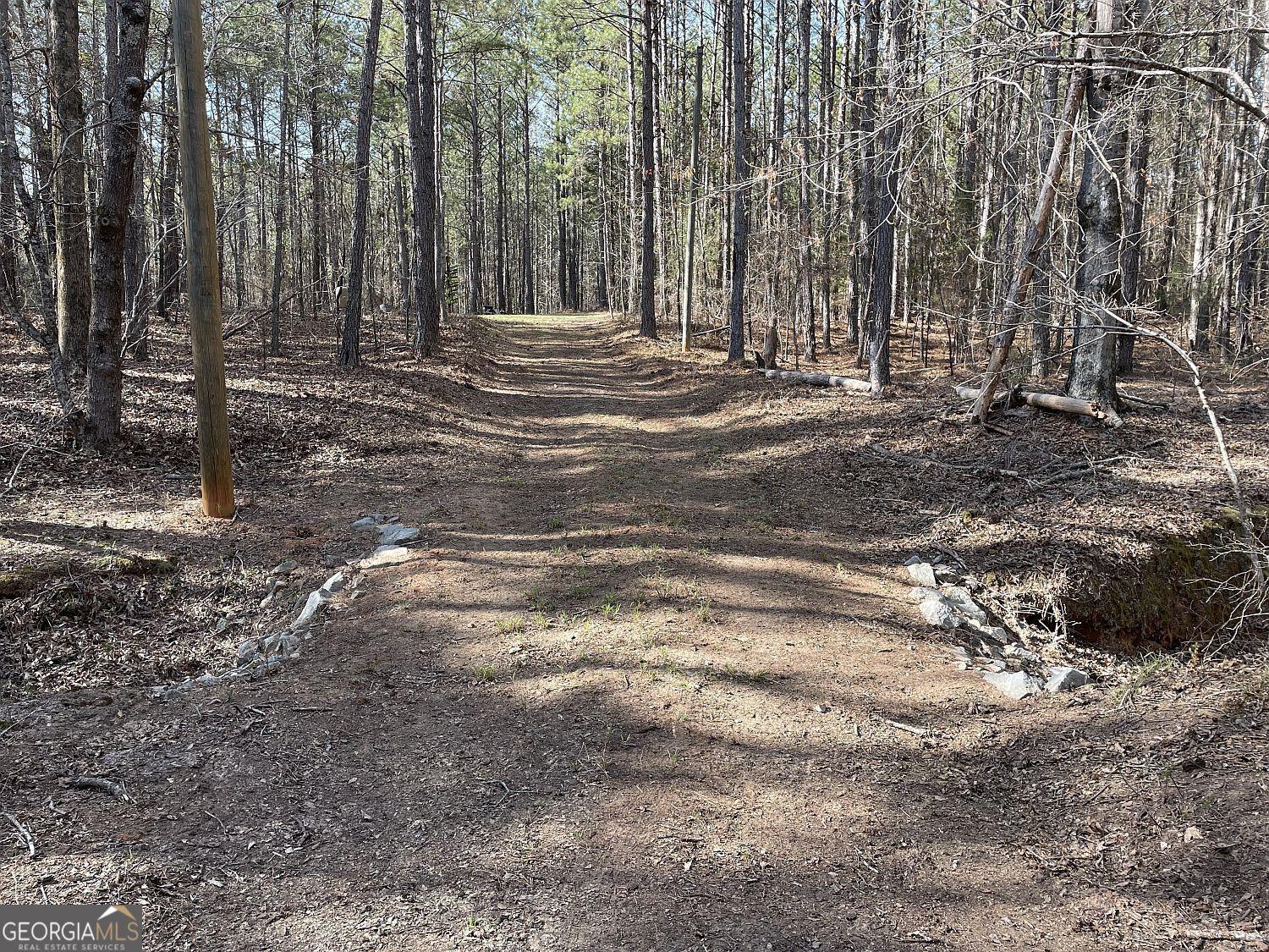 Image 4: Drive to clearing