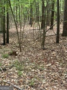 Lot 4 Cedar Grove Road, Buckhead GA 30625