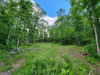LOT 165 Sycamore Dr