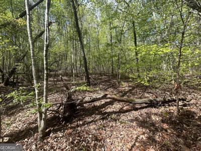 Lot 15, Martin GA 30557 Shore Crest Drive