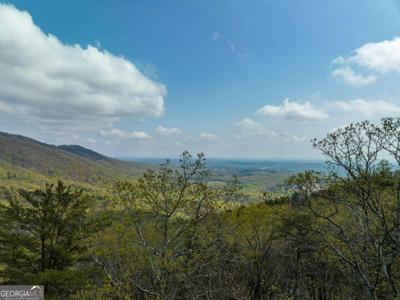 0 Little Hendricks Mountain