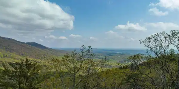 0 Little Hendricks Mountain