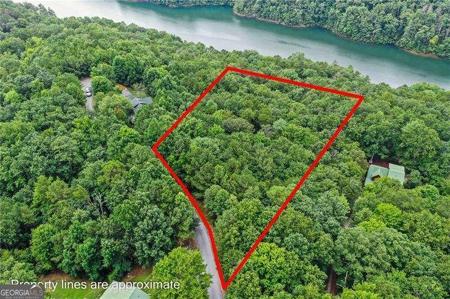 LOT39 Lakeside Trail, Ellijay GA 30540