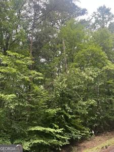 111 Falls Drive, Westminster SC 29693
