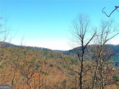 8104 Wilderness Parkway, Big Canoe GA 30143