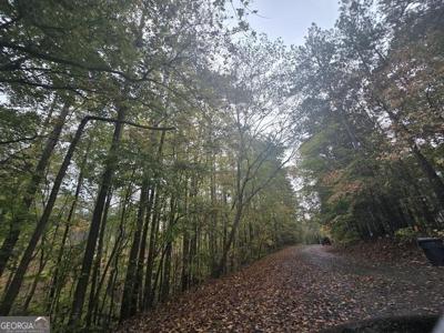 Redtail Court, Monticello GA 31064