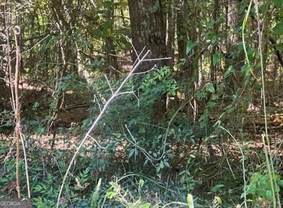 A-99 Possum Point Drive, Eatonton GA 31024