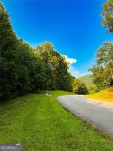169 LACEOLA, Cleveland GA 30528