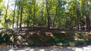 113  Shady Falls Rd Lot 113