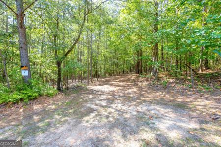 Lot G, Hartwell GA 30643 Winding Way