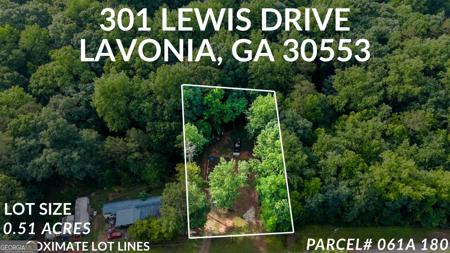 301 Lewis Drive, Lavonia GA 30553