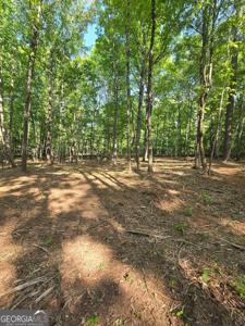 135 Lakeshore Drive, Eatonton GA 31024