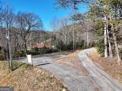 TRACT 1 Bauer Road, Hiawassee GA 30546
