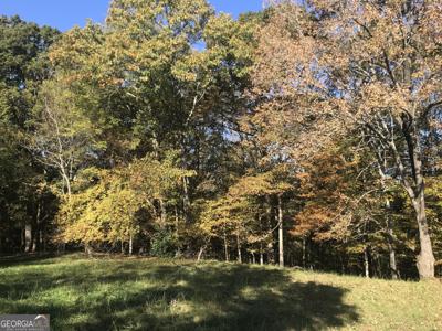 1100 Askew Trail