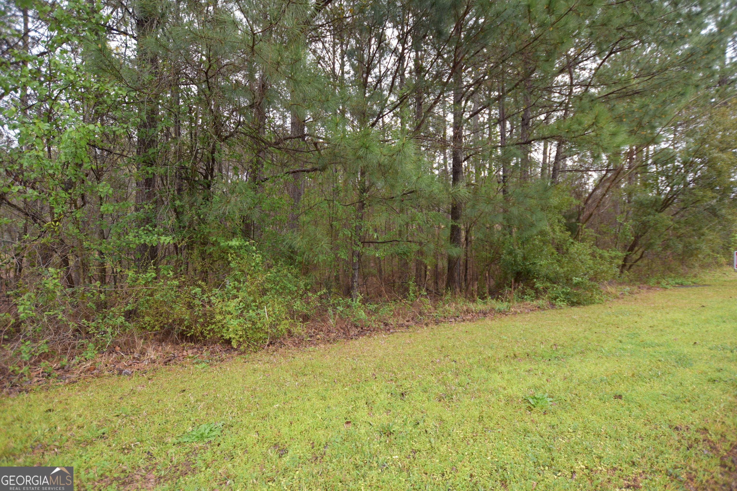 Image 2: Nautica Point Subdivision on Lake Tobesofkee