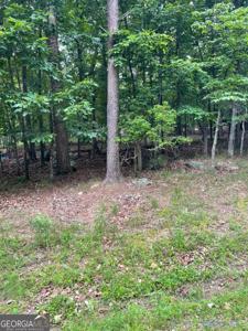 133 Pawnee Street, Waleska GA 30183
